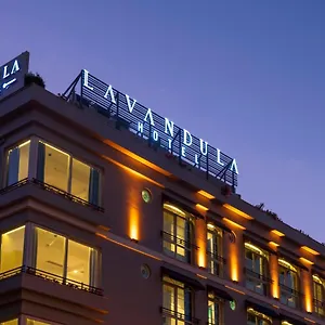 Levent Lavandula İstanbul